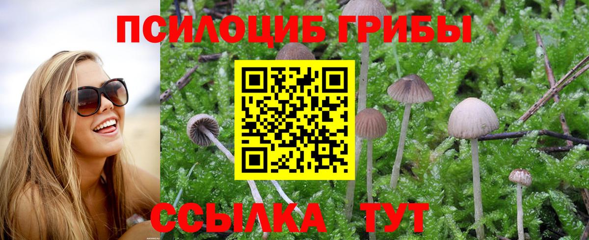 Галлюциногенные грибы MAGIC MUSHROOMS  Галлюциногенные грибы Psilocybe  сколько стоит  Вход с VPN  Муром 