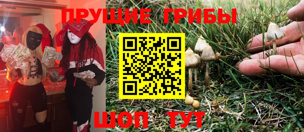 Галлюциногенные грибы Magic Shrooms Муром